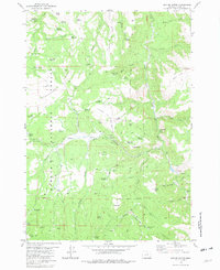 Download a high-resolution, GPS-compatible USGS topo map for Suplee Butte, OR (1981 edition)