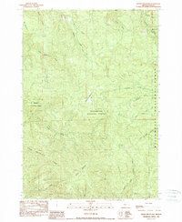 Download a high-resolution, GPS-compatible USGS topo map for Swamp Mountain, OR (1989 edition)
