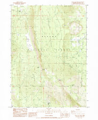 Download a high-resolution, GPS-compatible USGS topo map for Swan Lake Point, OR (1985 edition)
