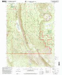 Download a high-resolution, GPS-compatible USGS topo map for Swan Lake Point, OR (2000 edition)