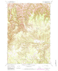 Download a high-resolution, GPS-compatible USGS topo map for Tamarack Gulch, OR (1985 edition)