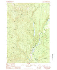 Download a high-resolution, GPS-compatible USGS topo map for Tamolitch Falls, OR (1989 edition)