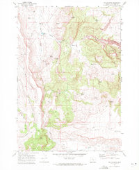 Download a high-resolution, GPS-compatible USGS topo map for Teller Butte, OR (1972 edition)