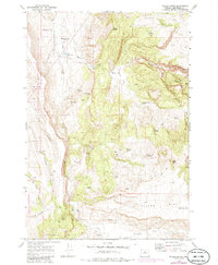 Download a high-resolution, GPS-compatible USGS topo map for Teller Butte, OR (1985 edition)