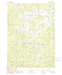 Download a high-resolution, GPS-compatible USGS topo map for Tenmile, OR (1990 edition)