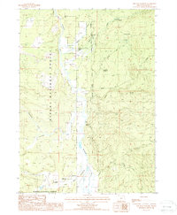 Download a high-resolution, GPS-compatible USGS topo map for The Bull Pasture, OR (1988 edition)