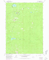 Download a high-resolution, GPS-compatible USGS topo map for The Twins, OR (1981 edition)