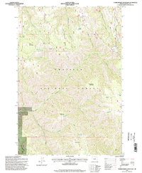 Download a high-resolution, GPS-compatible USGS topo map for Thimbleberry Mountain, OR (1998 edition)