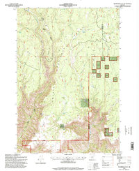Download a high-resolution, GPS-compatible USGS topo map for Thompson Flat, OR (1998 edition)