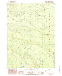 Download a high-resolution, GPS-compatible USGS topo map for Thousand Springs, OR (1985 edition)