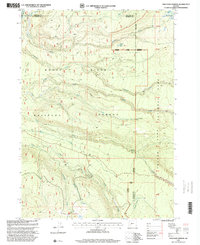 Download a high-resolution, GPS-compatible USGS topo map for Thousand Springs, OR (2000 edition)