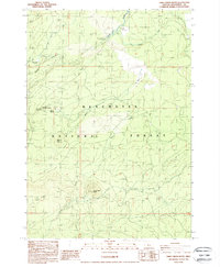 Download a high-resolution, GPS-compatible USGS topo map for Three Creek Butte, OR (1988 edition)