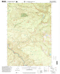 Download a high-resolution, GPS-compatible USGS topo map for Three Lynx, OR (1999 edition)