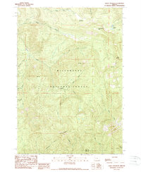 Download a high-resolution, GPS-compatible USGS topo map for Tidbits Mountain, OR (1989 edition)