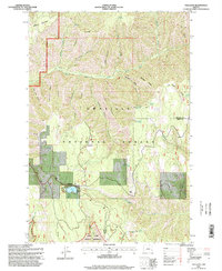 Download a high-resolution, GPS-compatible USGS topo map for Tollgate, OR (1998 edition)