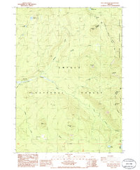 Download a high-resolution, GPS-compatible USGS topo map for Tolo Mountain, OR (1986 edition)