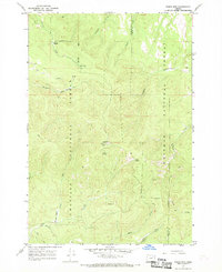 Download a high-resolution, GPS-compatible USGS topo map for Tower Mtn, OR (1969 edition)