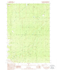 Download a high-resolution, GPS-compatible USGS topo map for Trout Creek Butte, OR (1988 edition)