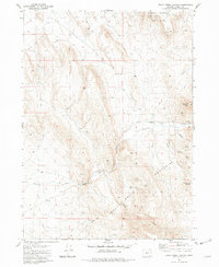 Download a high-resolution, GPS-compatible USGS topo map for Trout Creek Canyon, OR (1984 edition)