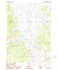 Download a high-resolution, GPS-compatible USGS topo map for Trout Creek, OR (1990 edition)