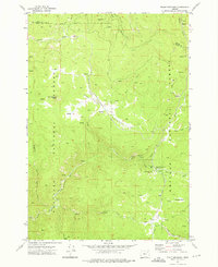 Download a high-resolution, GPS-compatible USGS topo map for Trout Meadows, OR (1975 edition)