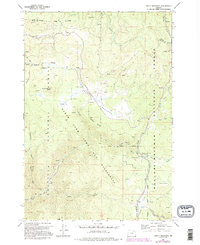 Download a high-resolution, GPS-compatible USGS topo map for Trout Meadows, OR (1995 edition)