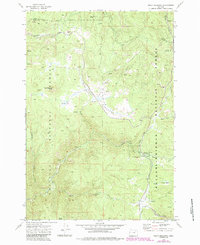 Download a high-resolution, GPS-compatible USGS topo map for Trout Meadows, OR (1984 edition)