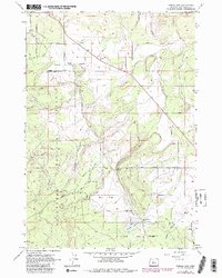 Download a high-resolution, GPS-compatible USGS topo map for Tumalo Dam, OR (1981 edition)