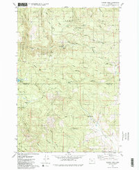 Download a high-resolution, GPS-compatible USGS topo map for Turner Creek, OR (1980 edition)
