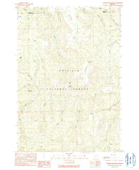 Download a high-resolution, GPS-compatible USGS topo map for Turner Mountain, OR (1990 edition)