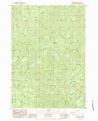 Download a high-resolution, GPS-compatible USGS topo map for Twin Sisters, OR (1984 edition)