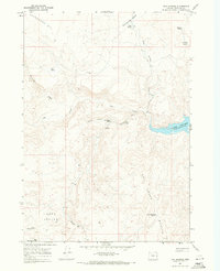 Download a high-resolution, GPS-compatible USGS topo map for Twin Springs, OR (1971 edition)