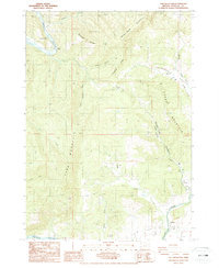 Download a high-resolution, GPS-compatible USGS topo map for Tyee Mountain, OR (1987 edition)
