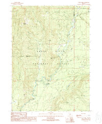 Download a high-resolution, GPS-compatible USGS topo map for Union Creek, OR (1990 edition)