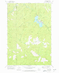 Download a high-resolution, GPS-compatible USGS topo map for Valsetz, OR (1977 edition)