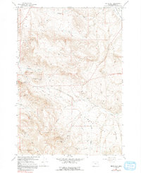 Download a high-resolution, GPS-compatible USGS topo map for Virtue Flat, OR (1991 edition)