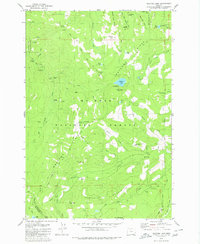 Download a high-resolution, GPS-compatible USGS topo map for Wahtum Lake, OR (1980 edition)
