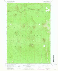 Download a high-resolution, GPS-compatible USGS topo map for Wanoga Butte, OR (1981 edition)