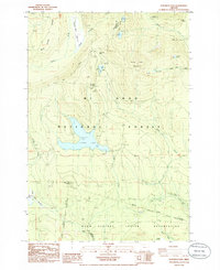 Download a high-resolution, GPS-compatible USGS topo map for Wapinitia Pass, OR (1985 edition)