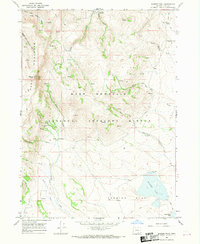 Download a high-resolution, GPS-compatible USGS topo map for Warner Peak, OR (1969 edition)