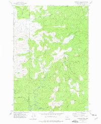 Download a high-resolution, GPS-compatible USGS topo map for Warnicke Creek, OR (1976 edition)