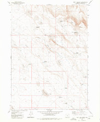 Download a high-resolution, GPS-compatible USGS topo map for Weed Lake Butte, OR (1980 edition)