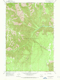 Download a high-resolution, GPS-compatible USGS topo map for Wenaha Forks, OR (1971 edition)