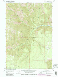 Download a high-resolution, GPS-compatible USGS topo map for Wenaha Forks, OR (1983 edition)
