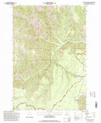 Download a high-resolution, GPS-compatible USGS topo map for Wenaha Forks, OR (1998 edition)