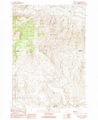 Download a high-resolution, GPS-compatible USGS topo map for Wendt Butte, OR (1990 edition)