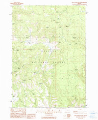 Download a high-resolution, GPS-compatible USGS topo map for West Myrtle Butte, OR (1990 edition)
