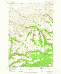 Download a high-resolution, GPS-compatible USGS topo map for Weston Mountain, OR (1965 edition)