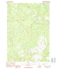 Download a high-resolution, GPS-compatible USGS topo map for Wheeler Point, OR (1990 edition)