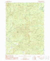 Download a high-resolution, GPS-compatible USGS topo map for Whetstone Point, OR (1990 edition)